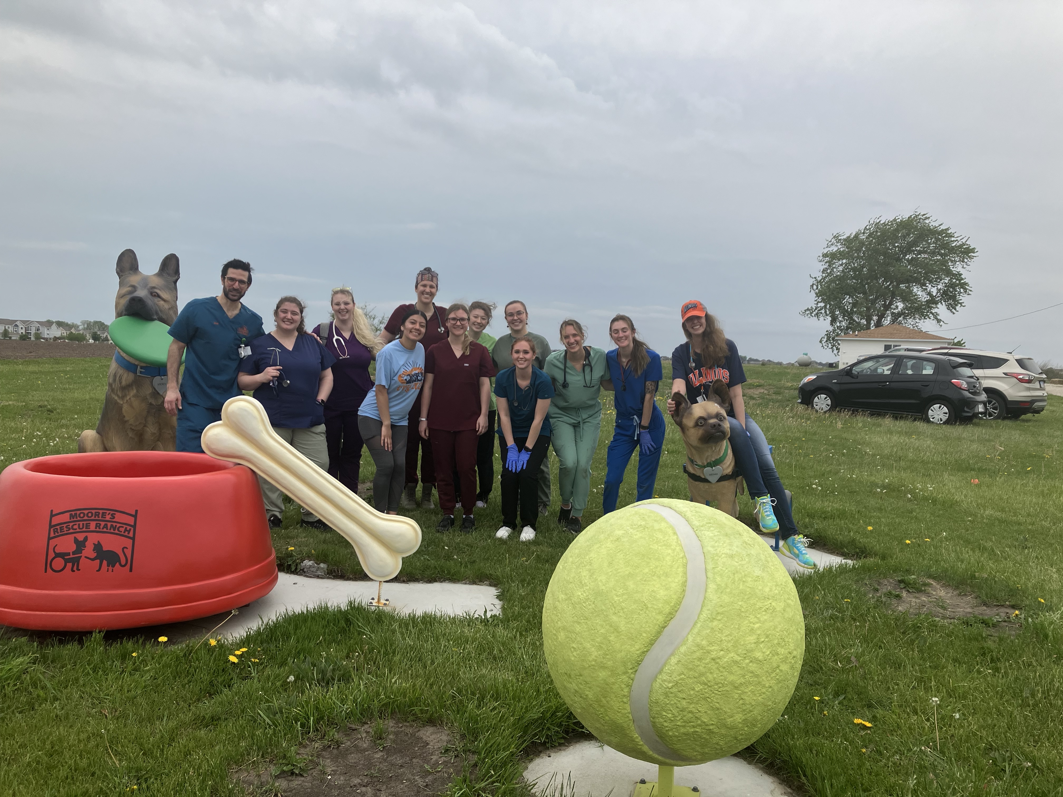Volunteer – Moore's Rescue Ranch