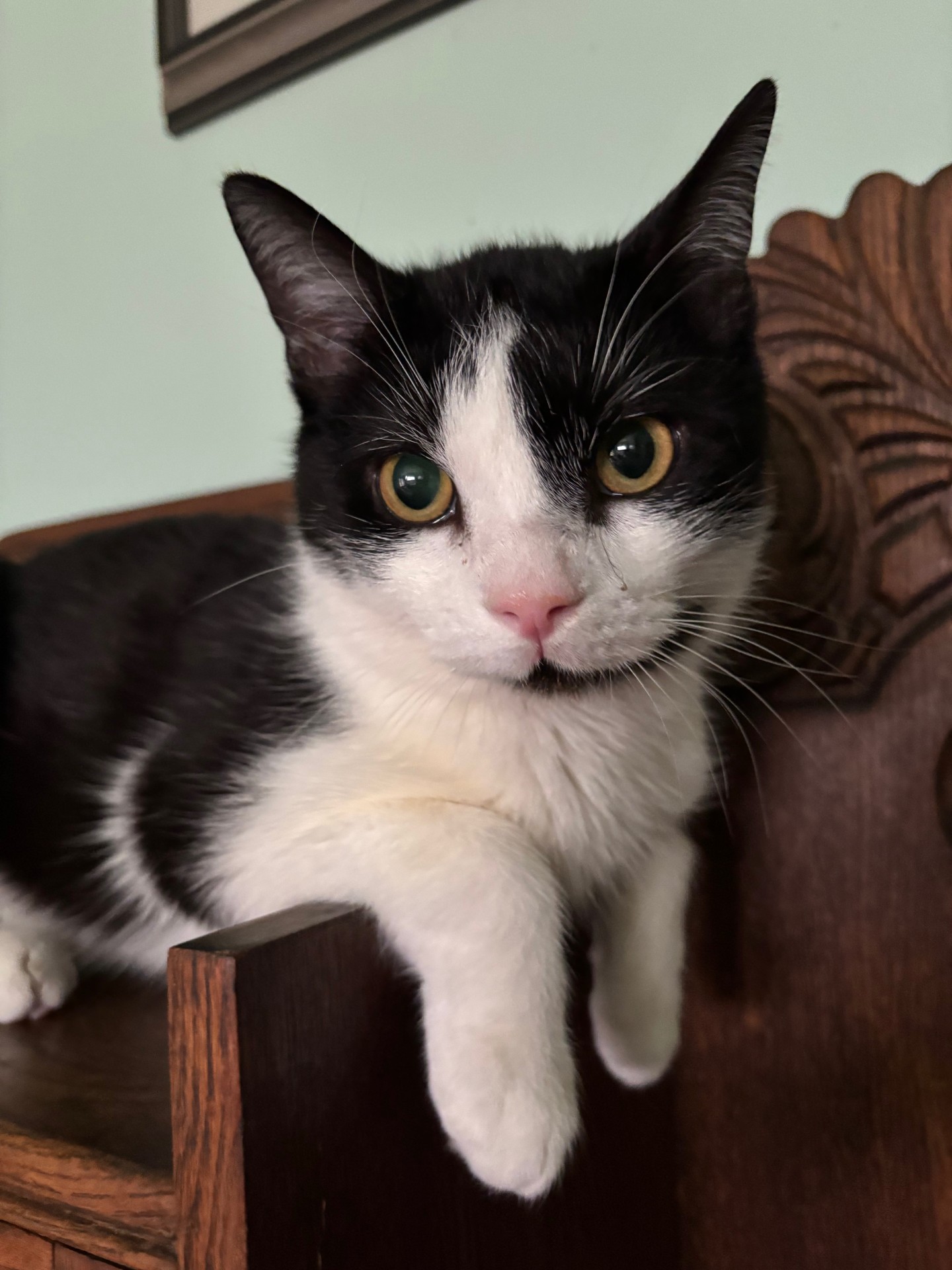 Pickles adopted in December 2025